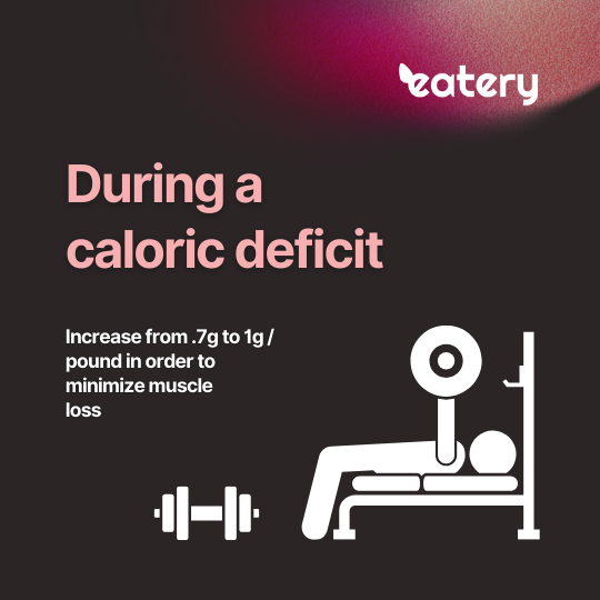 Protein intake during a calorie deficit